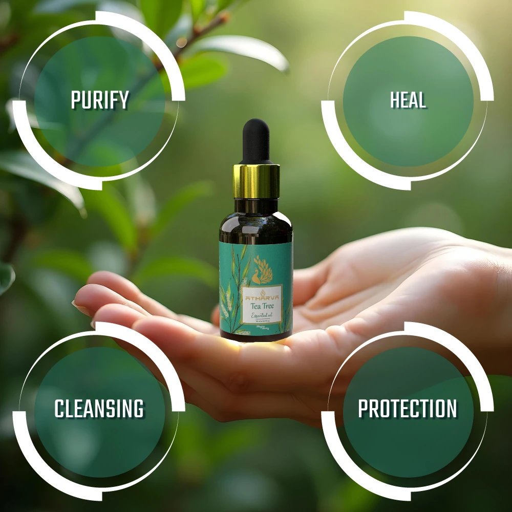 RBV B2B Atharva Tea Tree Essential Oil (15ml)-12 Pcs.